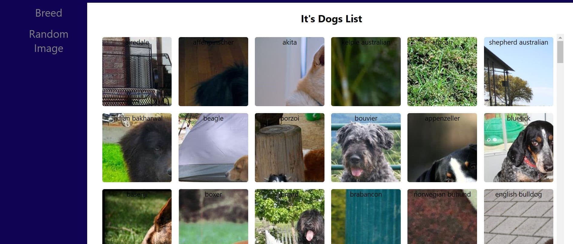 An image of the DOG API project.